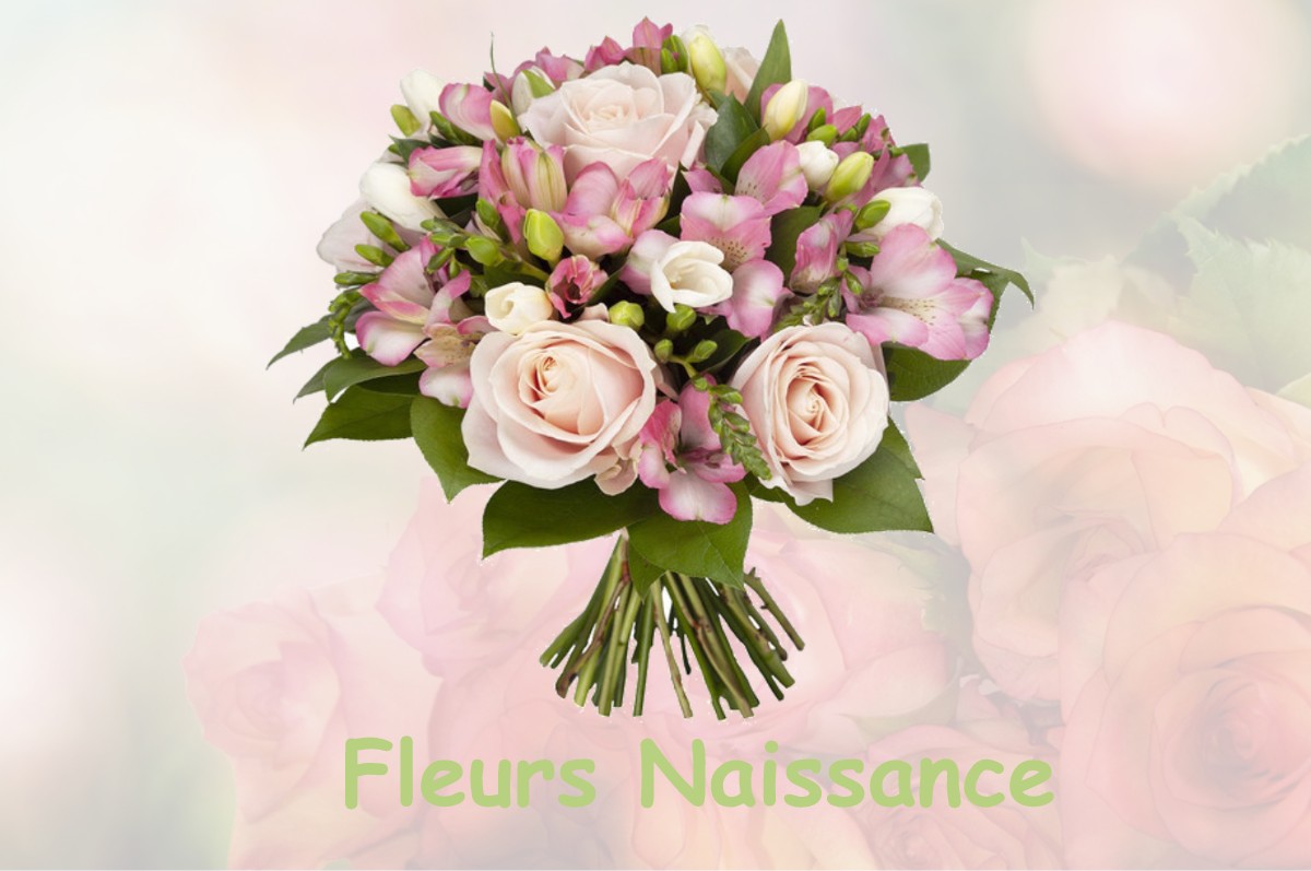 fleurs naissance NAILLOUX