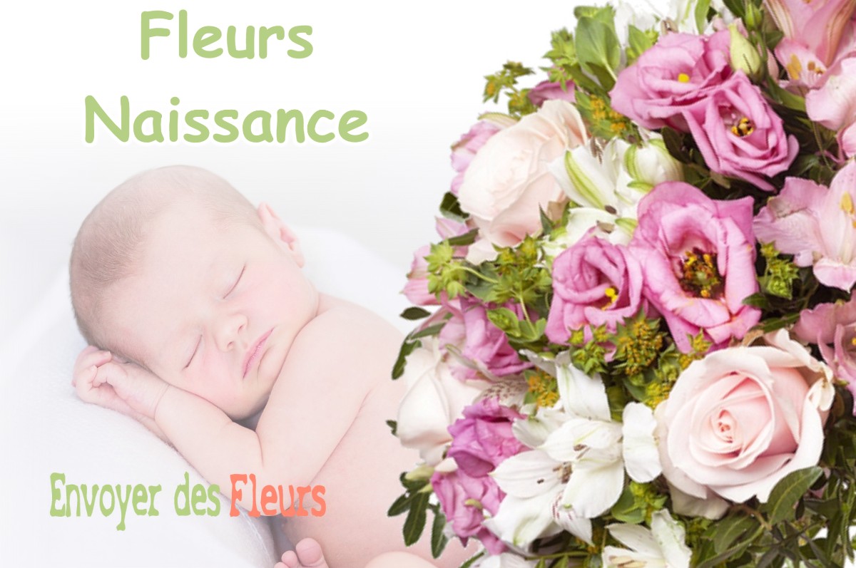 lIVRAISON FLEURS NAISSANCE à NAILLOUX